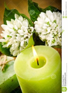 green-candle-spring-flowers-23850582